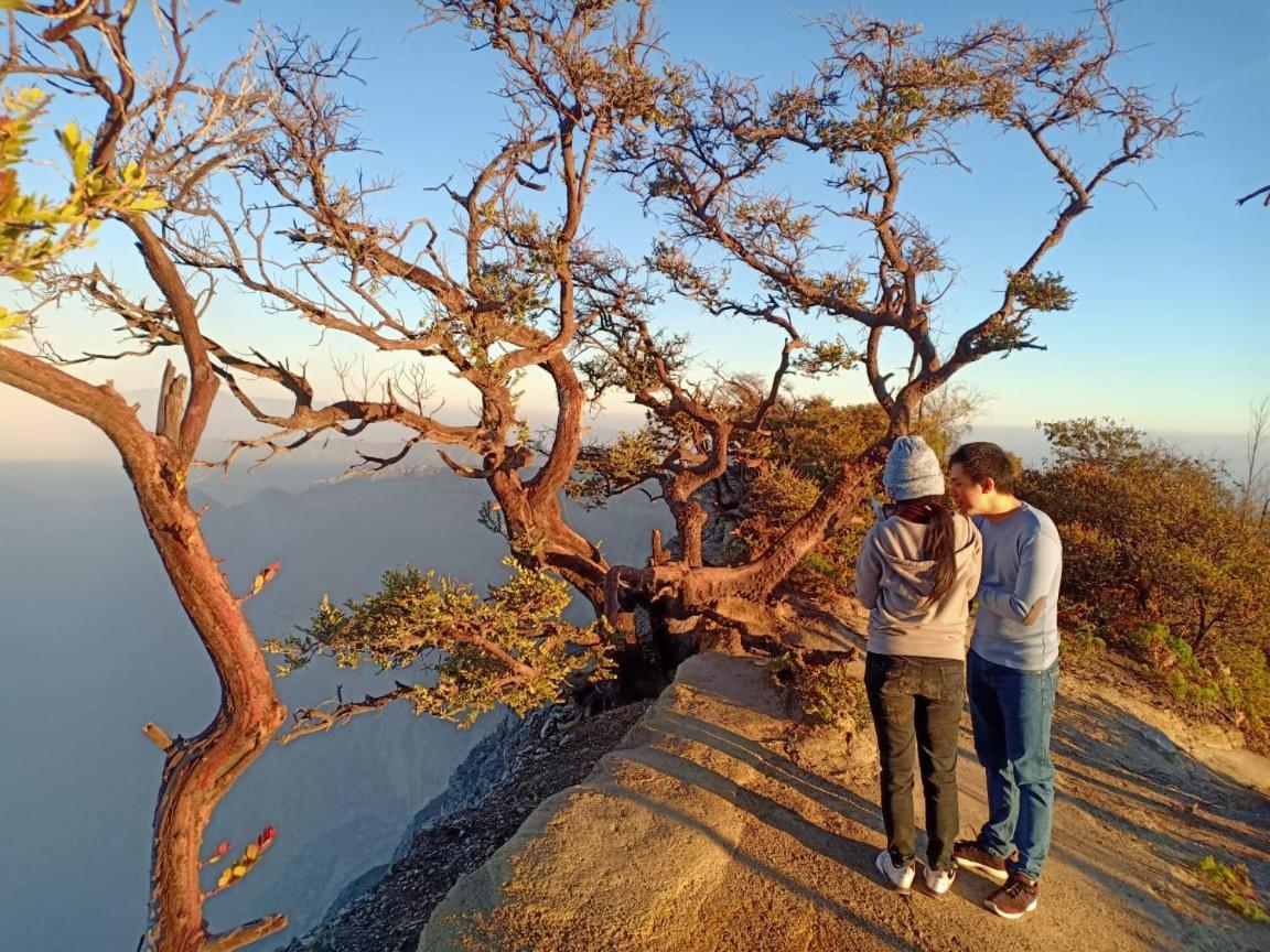 Thalia Homestay & Ijen Bromo Tour Banyuwangi  Esterno foto