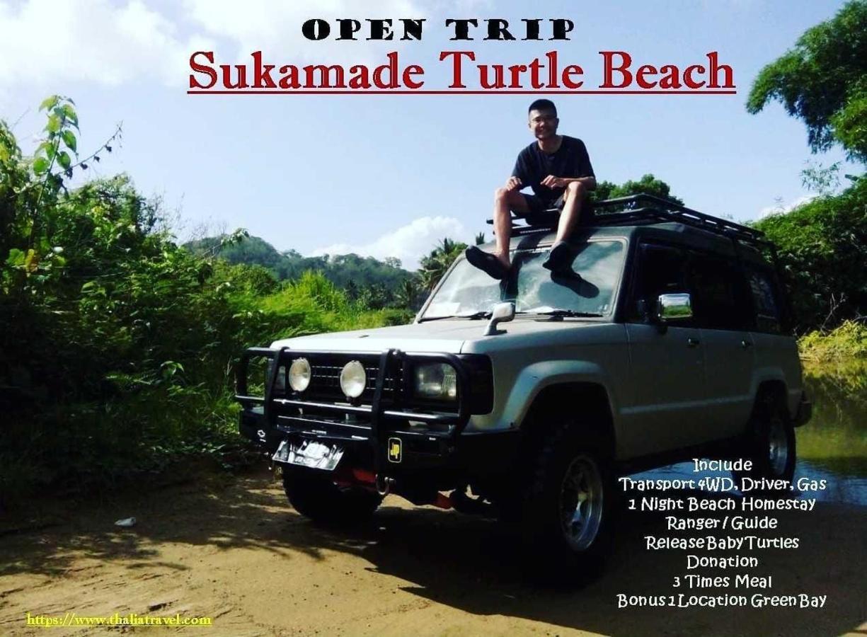 Thalia Homestay & Ijen Bromo Tour Banyuwangi  Esterno foto