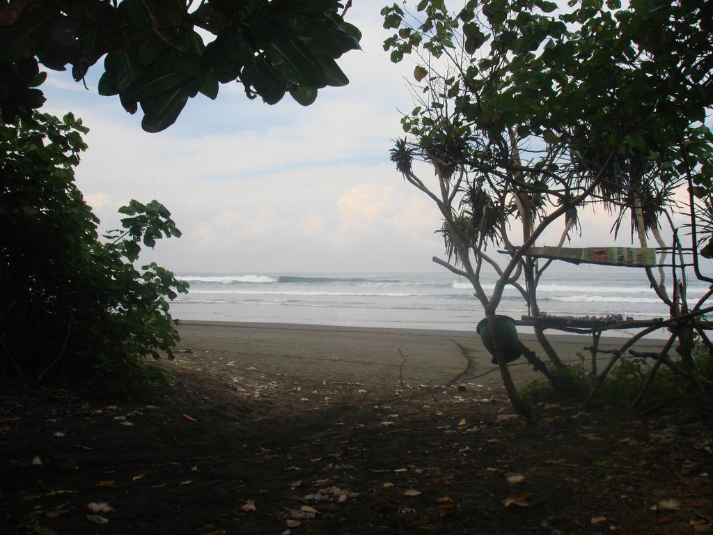 Thalia Homestay & Ijen Bromo Tour Banyuwangi  Esterno foto