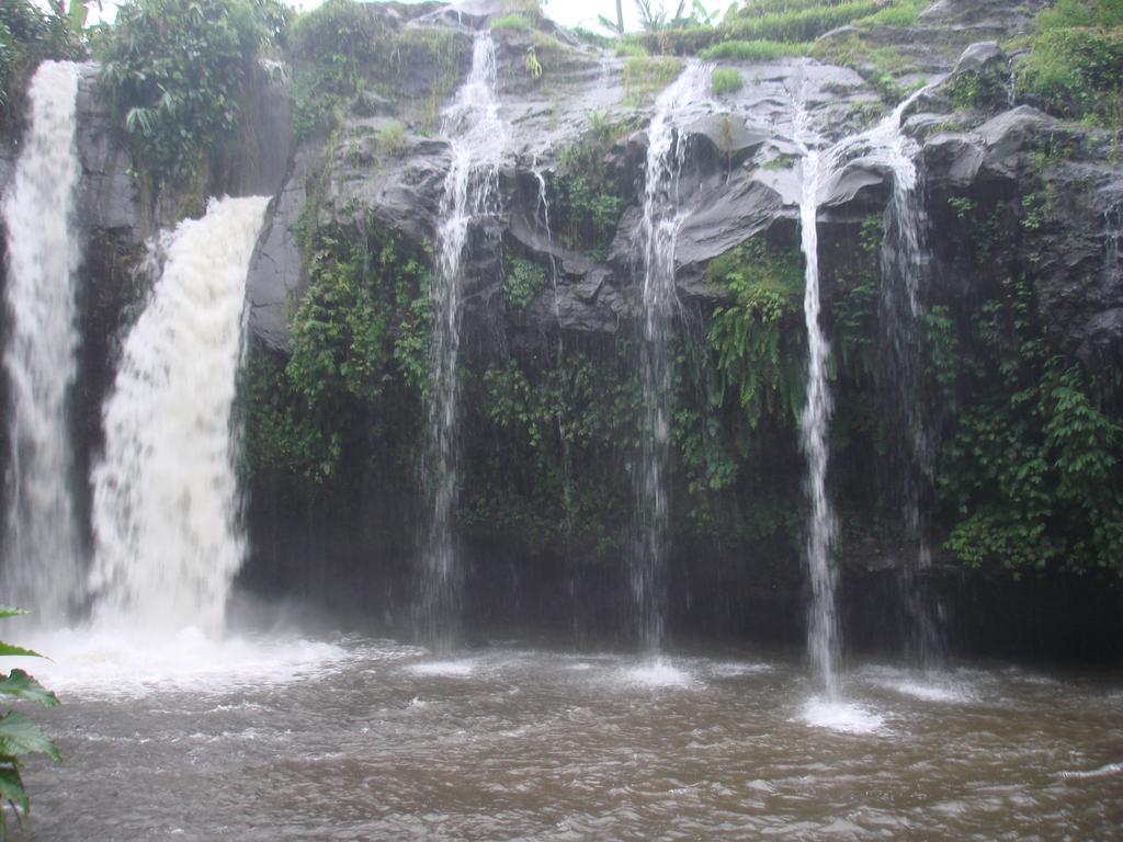 Thalia Homestay & Ijen Bromo Tour Banyuwangi  Esterno foto