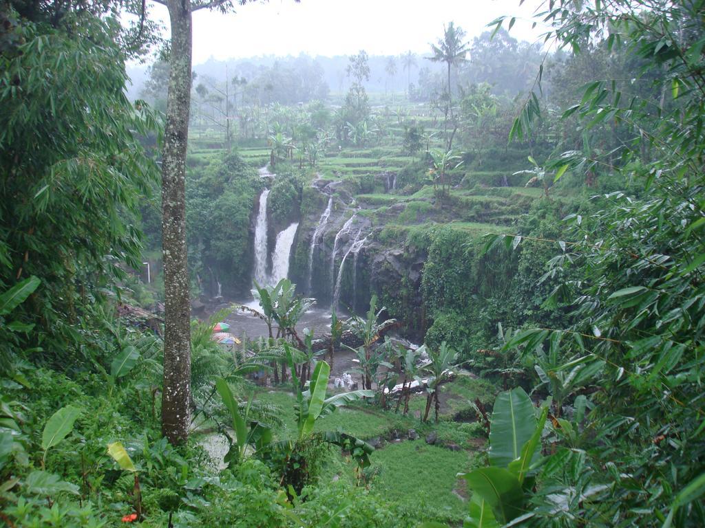 Thalia Homestay & Ijen Bromo Tour Banyuwangi  Esterno foto
