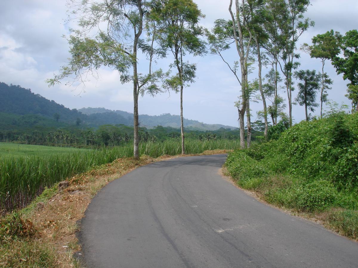 Thalia Homestay & Ijen Bromo Tour Banyuwangi  Esterno foto