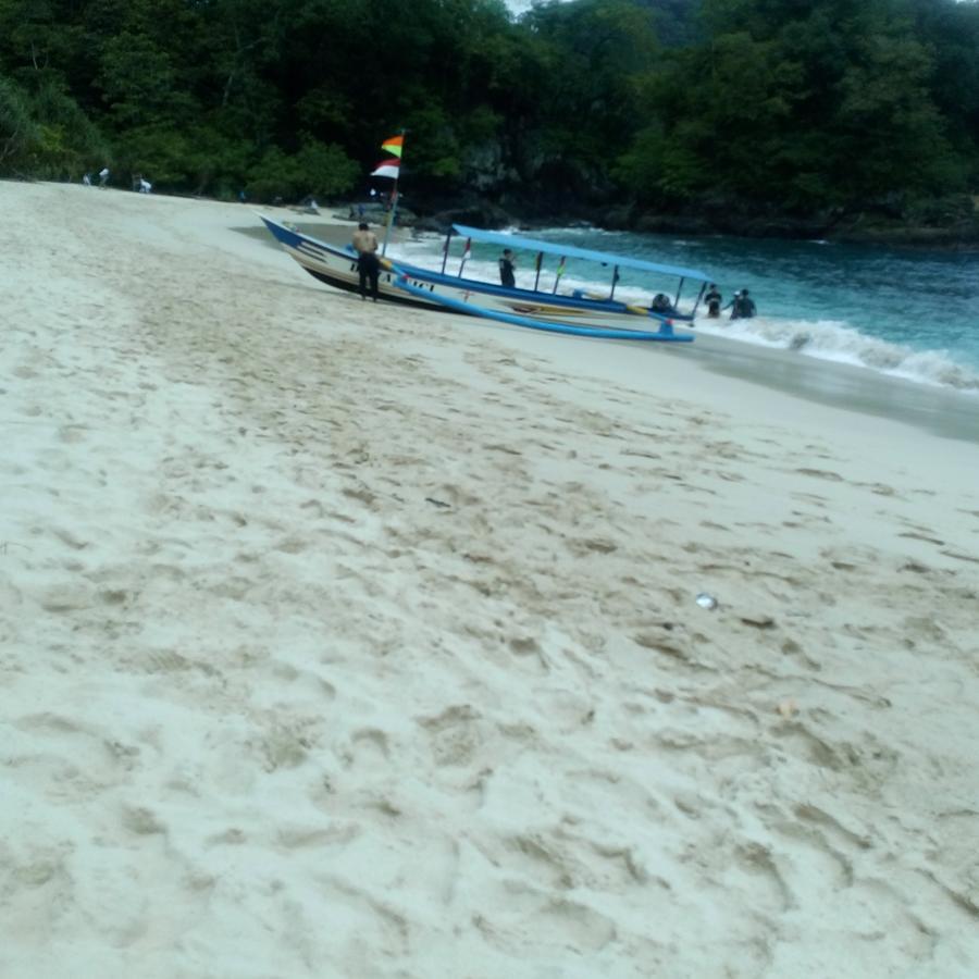 Thalia Homestay & Ijen Bromo Tour Banyuwangi  Esterno foto