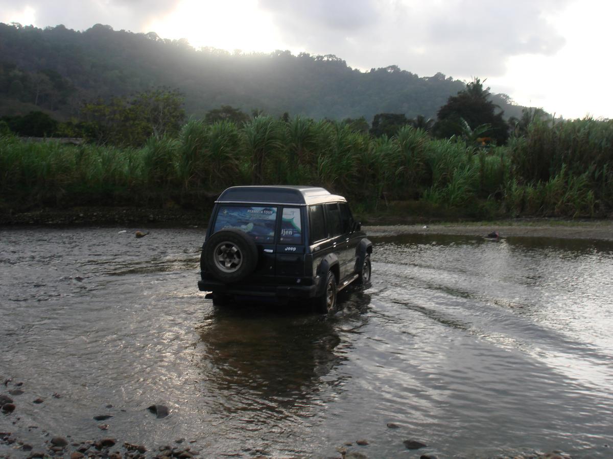 Thalia Homestay & Ijen Bromo Tour Banyuwangi  Esterno foto