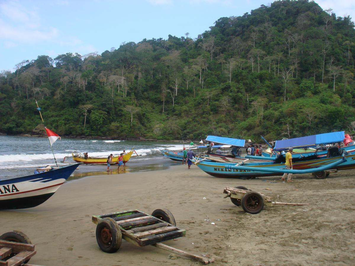 Thalia Homestay & Ijen Bromo Tour Banyuwangi  Esterno foto