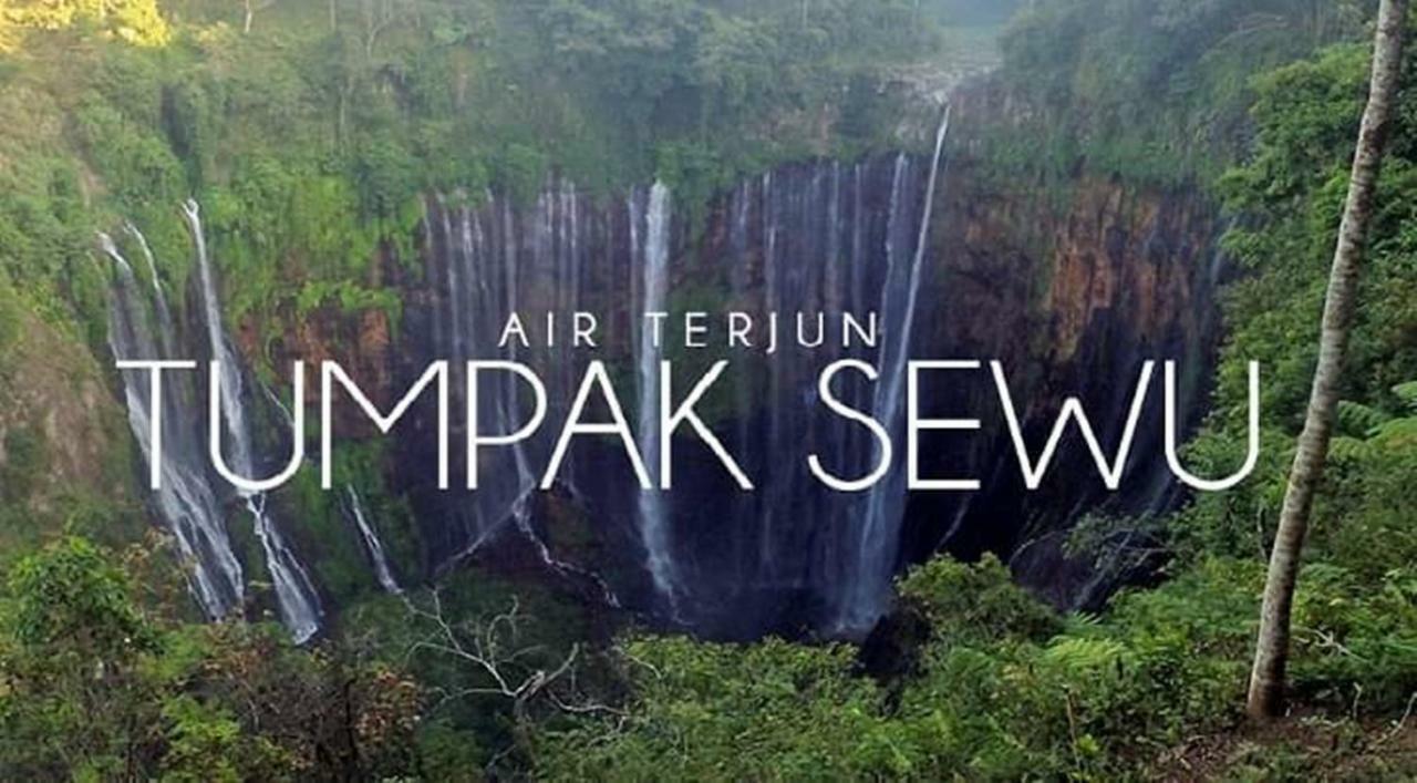 Thalia Homestay & Ijen Bromo Tour Banyuwangi  Esterno foto